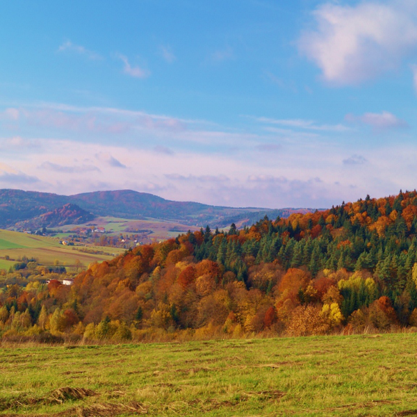 Jesień w Bieszczadach