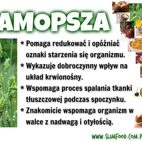 SAMOPSZA – PRASTARA PSZENICA