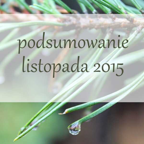 Podsumowanie listopada.