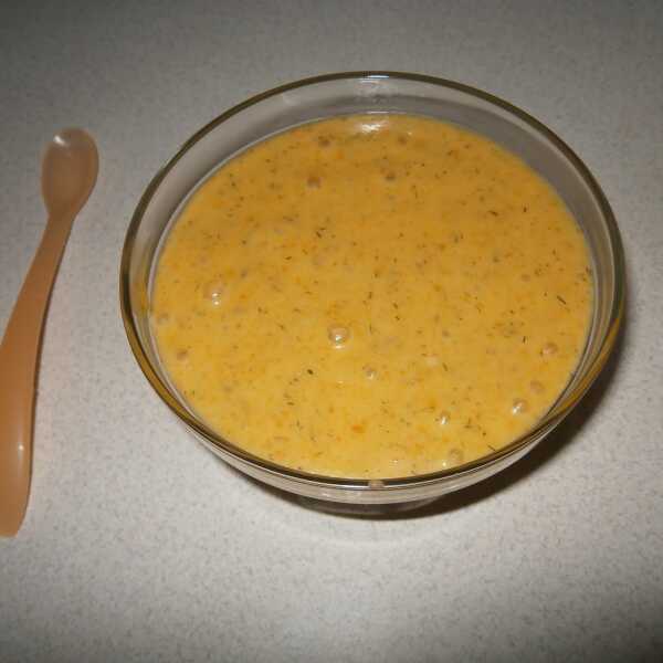 Warzywna papko - zupka z koperkiem dla niemowlaka.