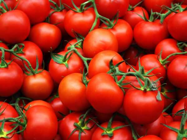 Pomidory od kuchni
