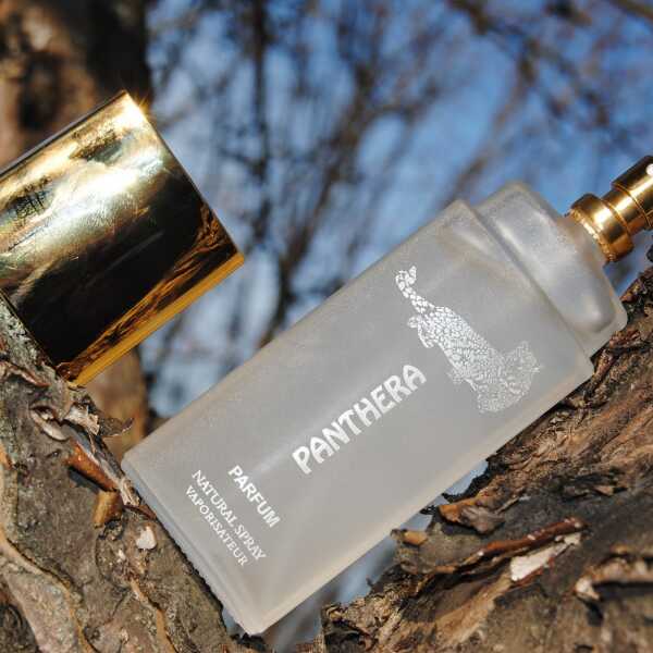 Drapieżny zapach? Perfumy Panthera