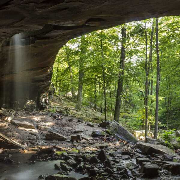 Earths Beauty