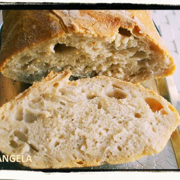 Chleb pszenny nocny - Pane veloce con riposo notturno - No Knead Bread