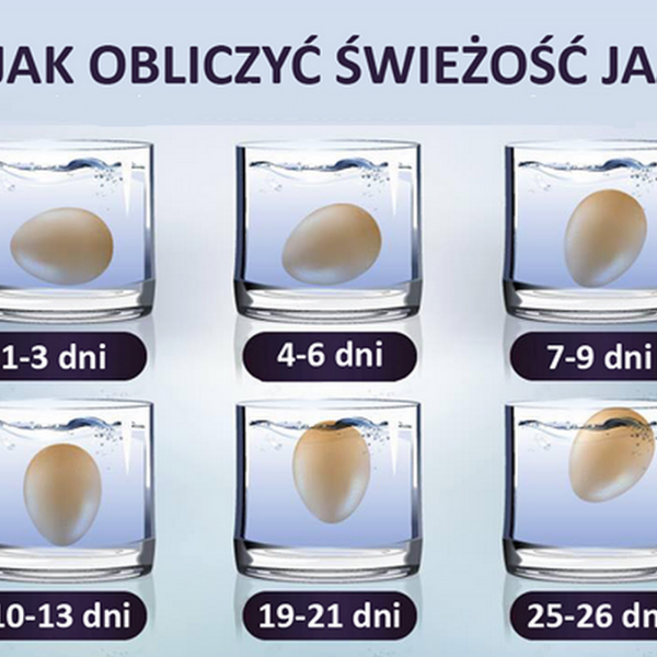 świeżość jajka