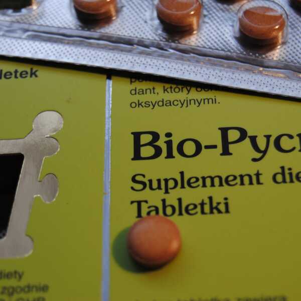 Bio Pycnogenol- suplementacja z Pharma Nord