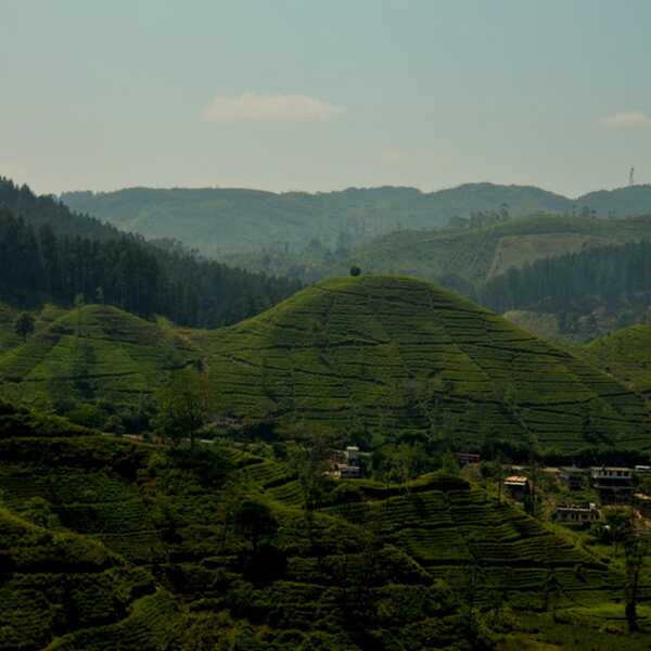 Koleją z Kandy do Nuwara Eliya