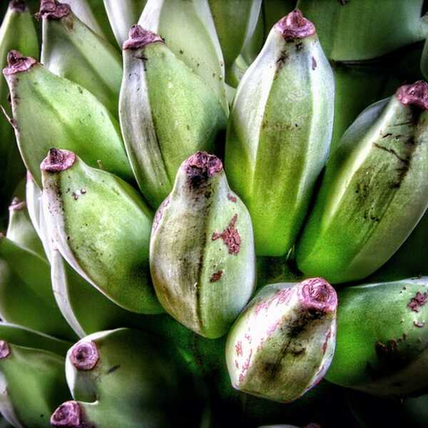 Bezglutenowe smażone banany