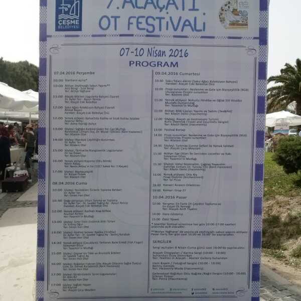 7. Festiwal zieleniny w Alacati / Turcja