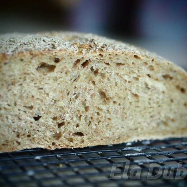 Tartine Bread w Majowej Piekarni