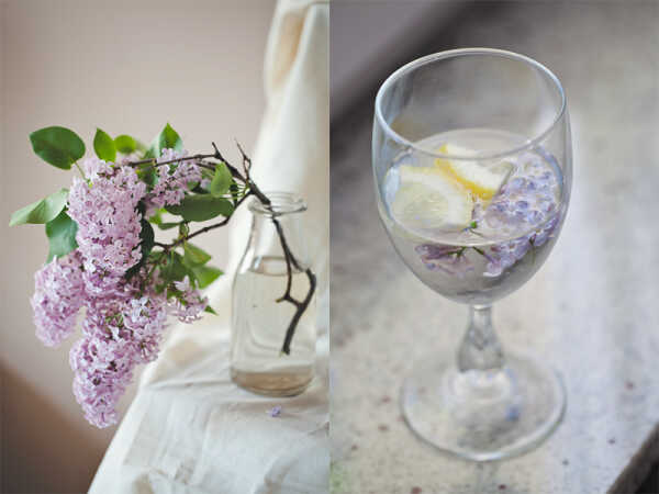 Herbatka z bzu (jadalne kwiaty – bez lilak)