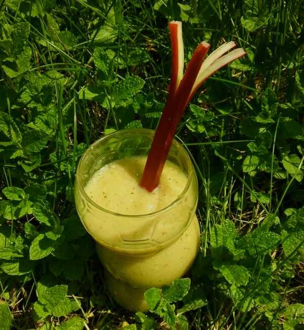 Wiosenne smoothie z rabarbarem i mietą