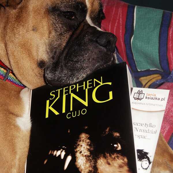 CUJO - Stephen King - wściekłe myśli psa po kontakcie z nietoperzem.