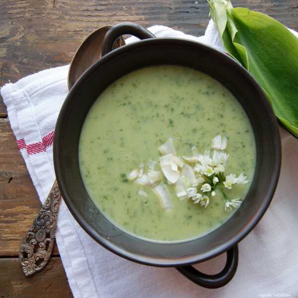 Zupa kokosowa z czosnkiem niedźwiedzim