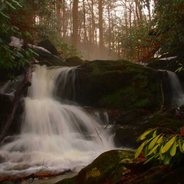 Earth Blog