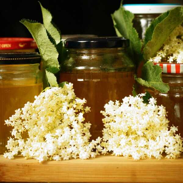 Elderflower syrup / Syrop z kwiatów bzu czarnego