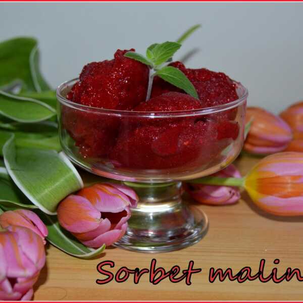 Sorbet malinowy