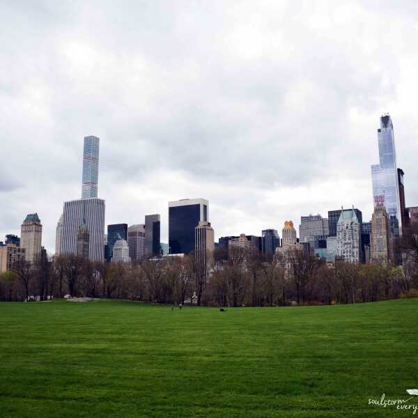 New York || Central Park