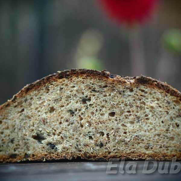 Chleb żytnio-orkiszowy z oliwkami. Sierpniowa Piekarnia