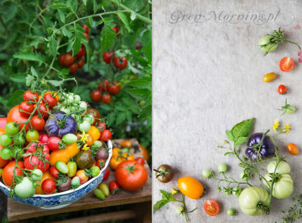 W pomidorowym raju (?) – sesja dla Weranda Country