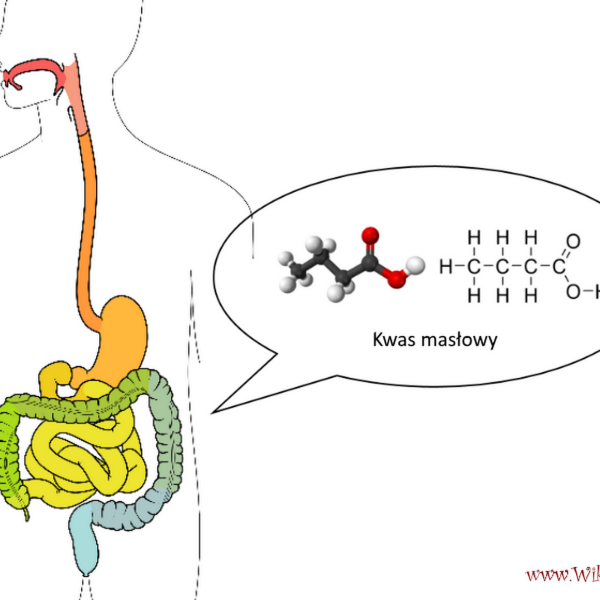 Kwas masłowy - panaceum na problemy z jelitami ?