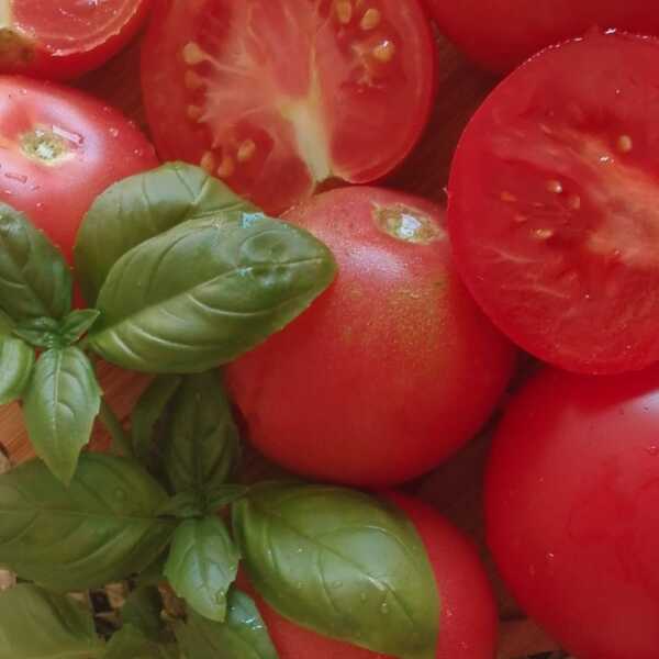 Krem z pomidorów