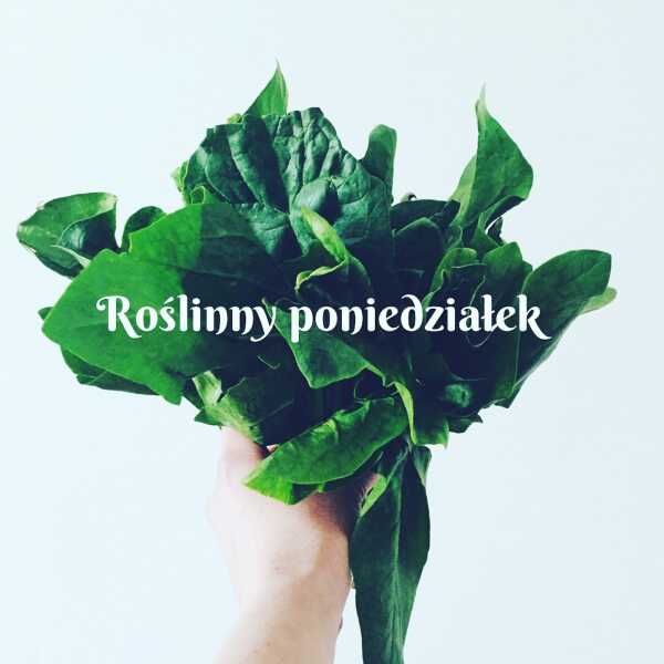 Roślinny poniedziałek