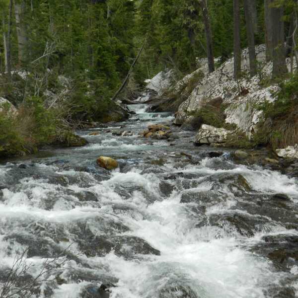Earths Beauty