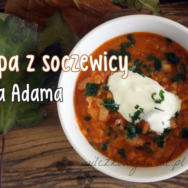 Zupa z soczewicy ojca Adama