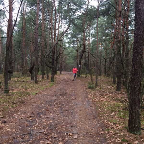 Kultowa wydma pod Warszawą czyli jak trenować w Falenicy - PORADNIK