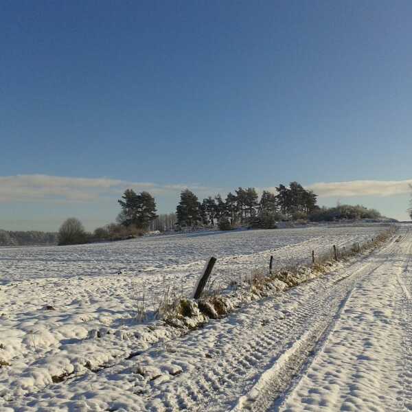 Zimowe-bajkowe Mazury