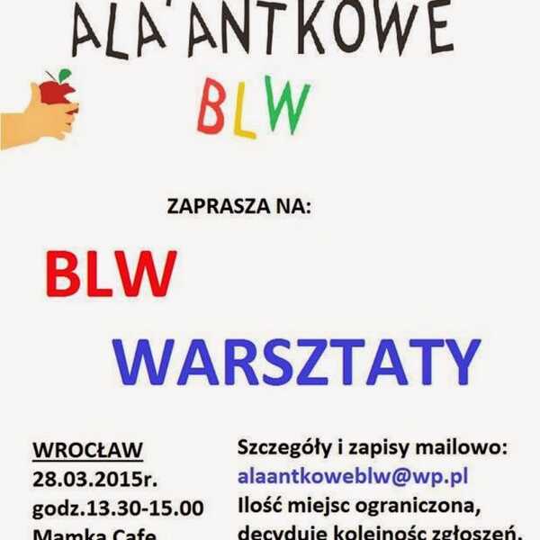 Warsztaty BLW Wrocław