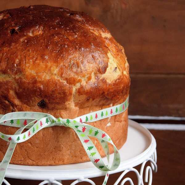 Panettone