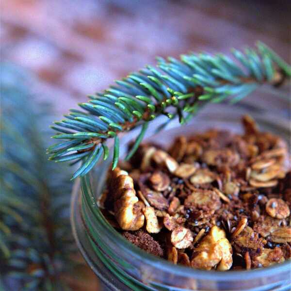 Ciasteczkowa granola z pierniczkami. Prezent last minute!