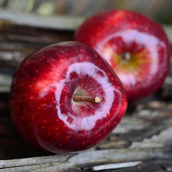 Bezglutenowe naleśniki z karmelizowanymi jabłkami - bez cukru