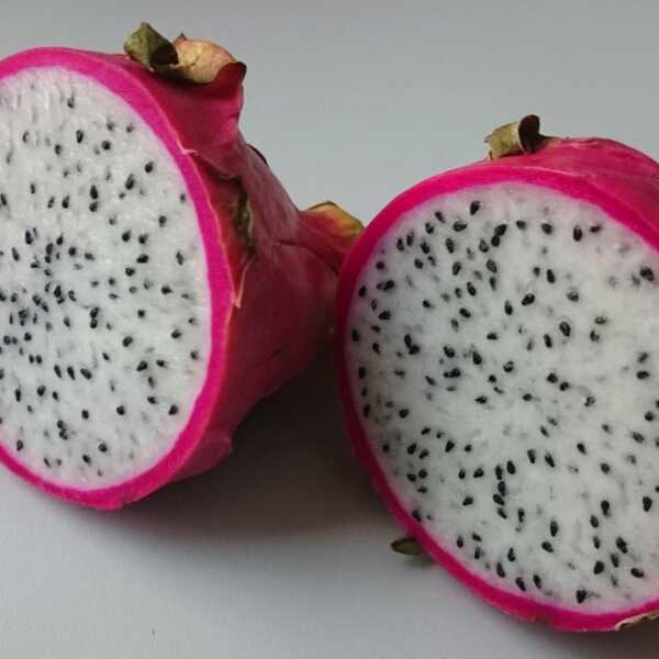 Pitahaja