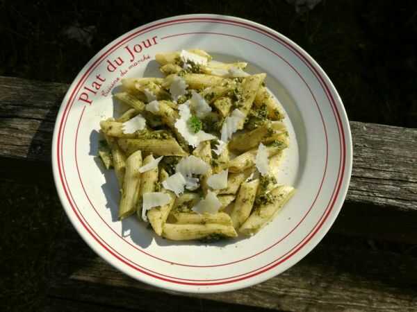 Penne z dzikim pesto i pecorino