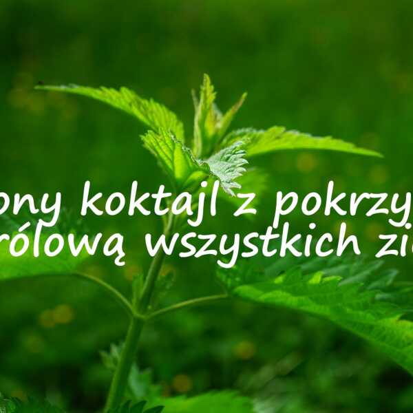 Zielony koktajl z pokrzywą, królową wszystkich ziół