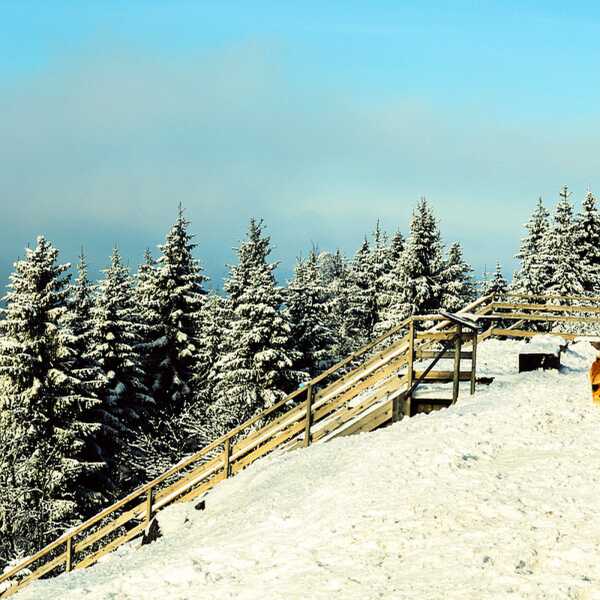 Oslo, część siódma: Grefsenkollen