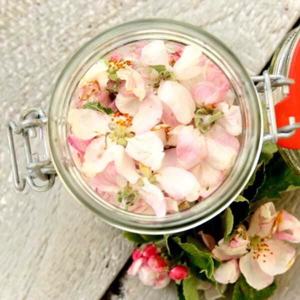 Herbatka z kwiatów jabłoni na poprawę trawienia oraz rozjaśnienie przebarwień skórnych.