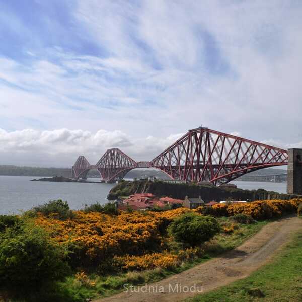 Forth Bridge - wycieczka nad szkocki most z listy UNESCO 