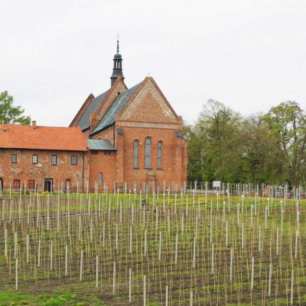 Enoturystyka na dwóch kółkach: Winnica św. Jakuba