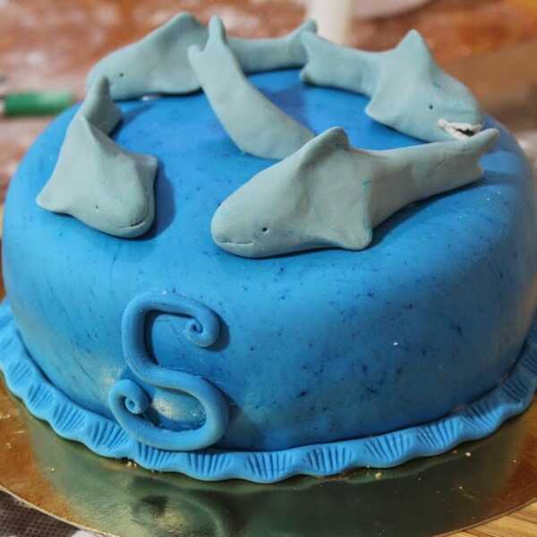 Tort dla fana rekinów