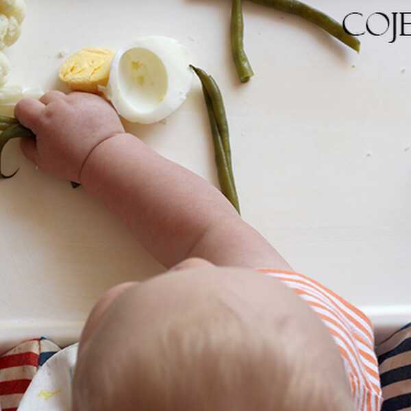 BLW: Co Mogę Podać Dziecku Na Początek? Kolejność i Częstość Wprowadzania Pokarmów