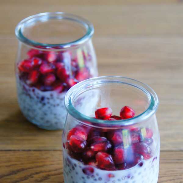 Kokosowy pudding z nasion chia / coconut chia seed pudding