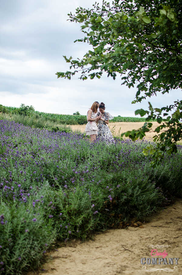 Lavender fields forever czyli polska Prowansja. Co zrobić z lawendy