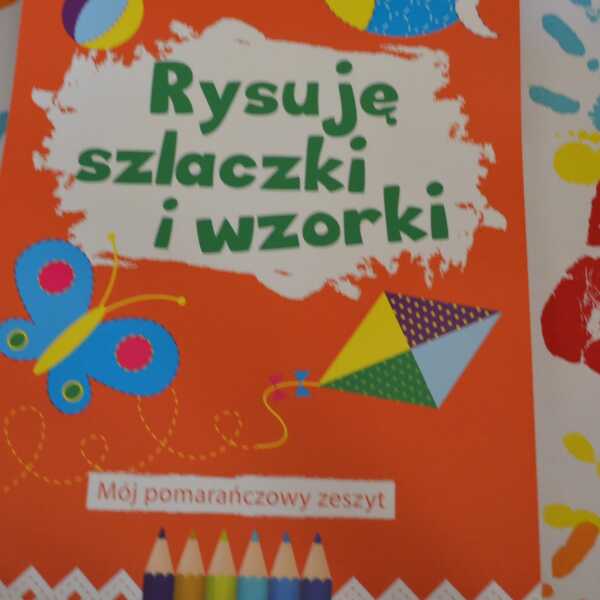 'Rysuję szlaczki i wzorki' wyd. Wilga