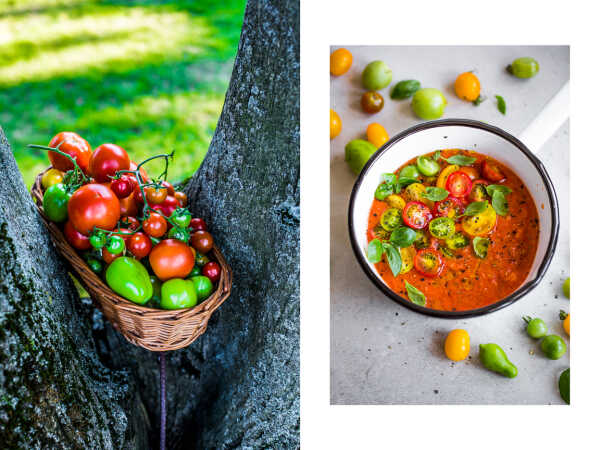 GAZPACHO – POMIDOROWY CHŁODNIK