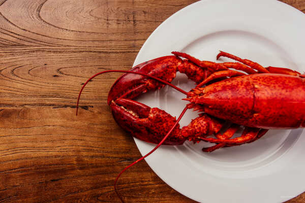 Creamy Lobster Pasta Recipe