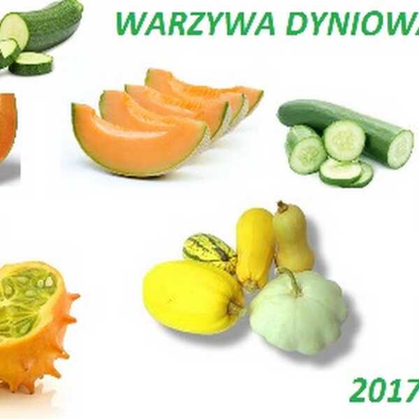 Zaproszenie do akcji kulinarnej 'Warzywa dyniowate 2017'